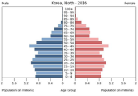 https://upload.wikimedia.org/wikipedia/commons/thumb/7/7d/Population_pyramid_of_North_Korea_2016.png/220px-Population_pyramid_of_North_Korea_2016.png